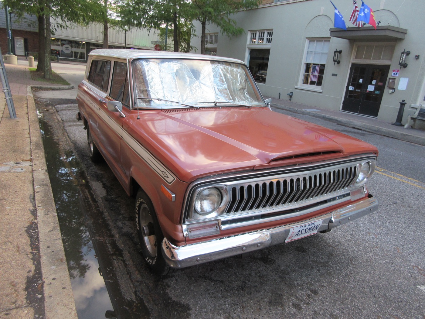 ASSMAN license plate replica
