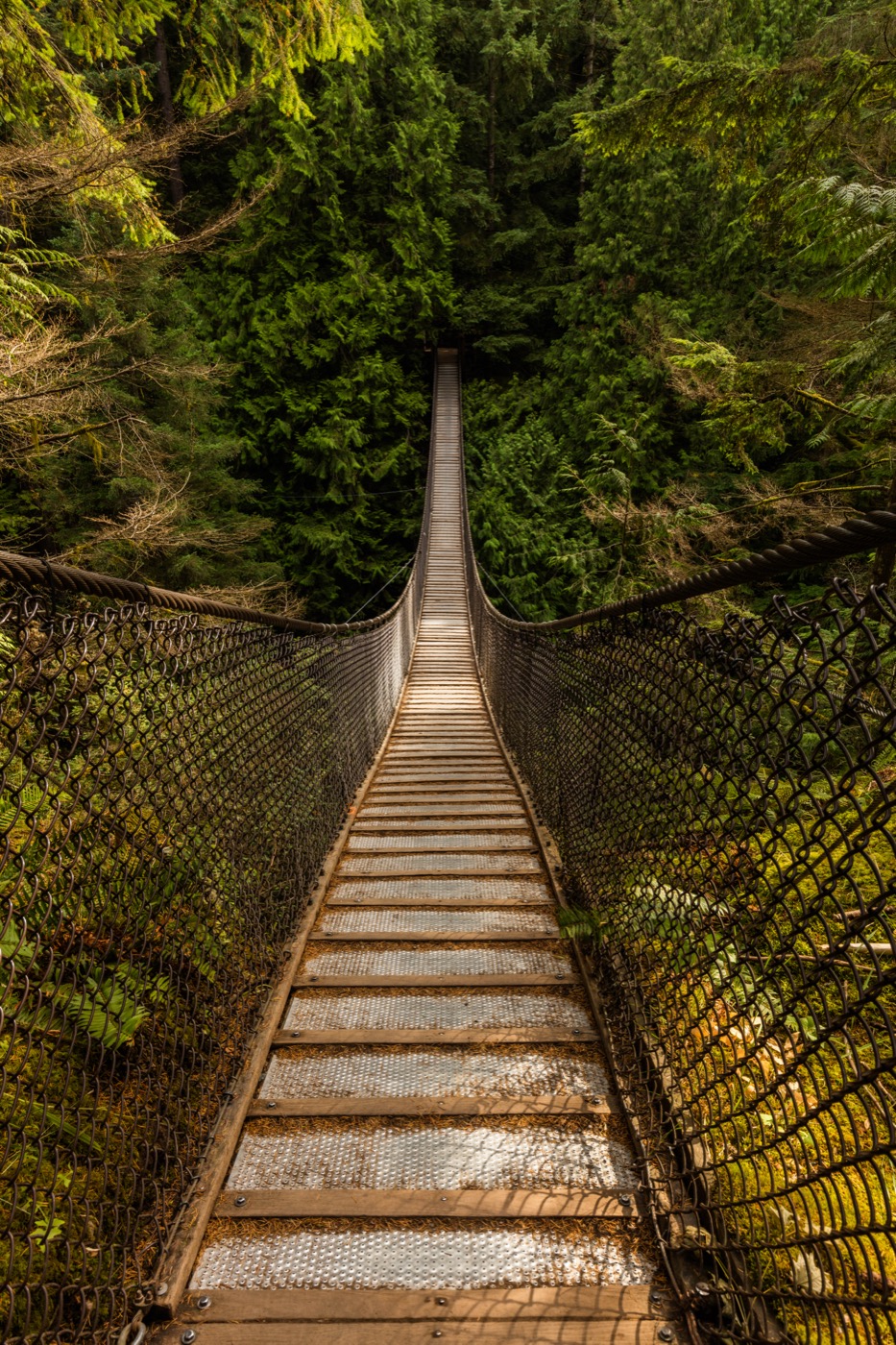 Lynn Canyon Park & Suspension Bridge